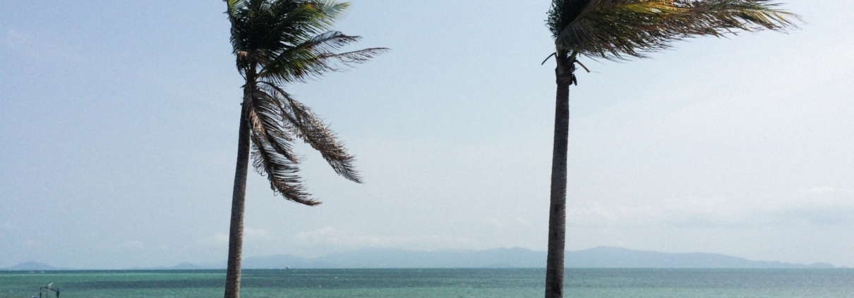 Wind Service