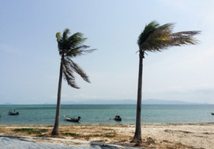 Wind Service