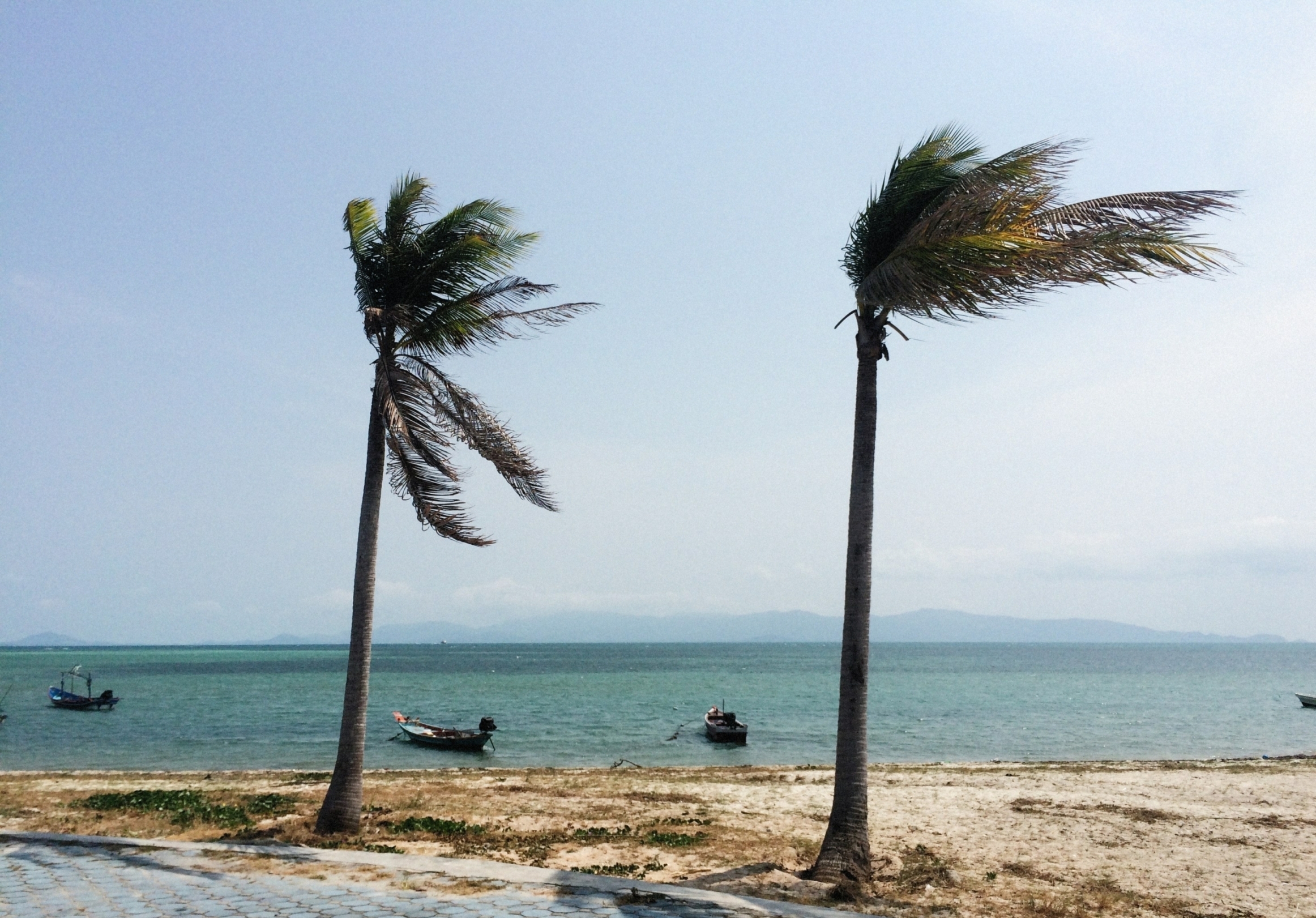 Wind Service